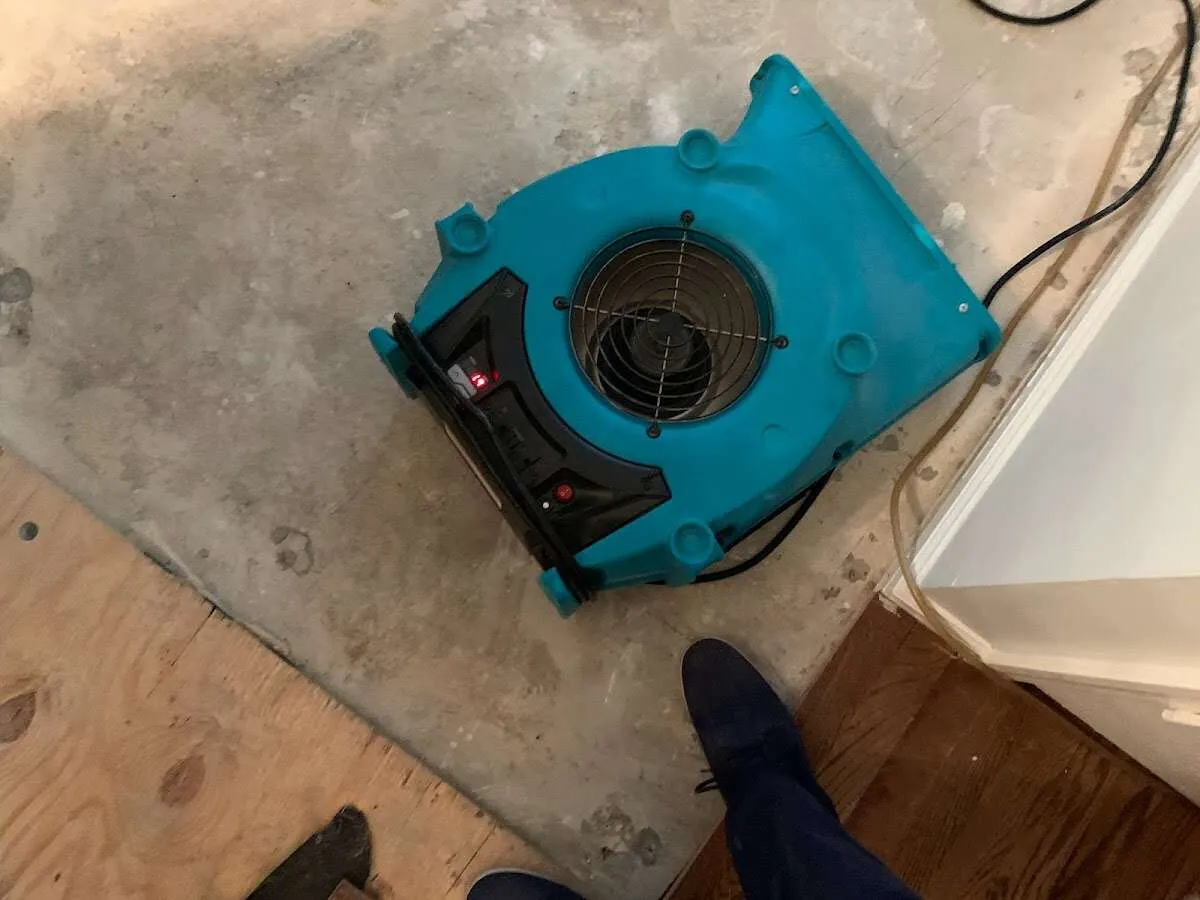Air mover drying subfloor during Commercial Water Damage Restoration in Kenwood